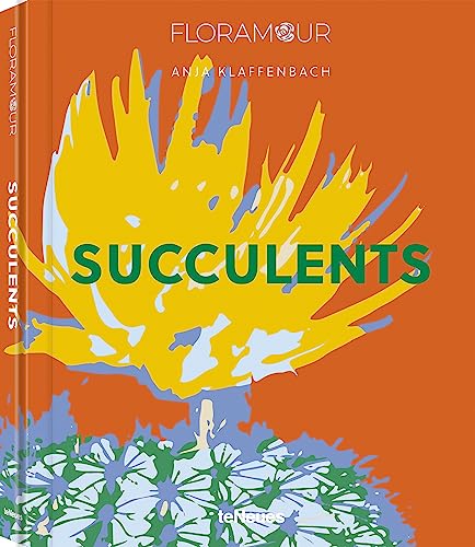 Succulents / Sukkulenten: Floramour