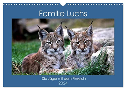 Familie Luchs - Die Jäger mit dem Pinselohr (Wandkalender 2024 DIN A3 quer), CALVENDO Monatskalender