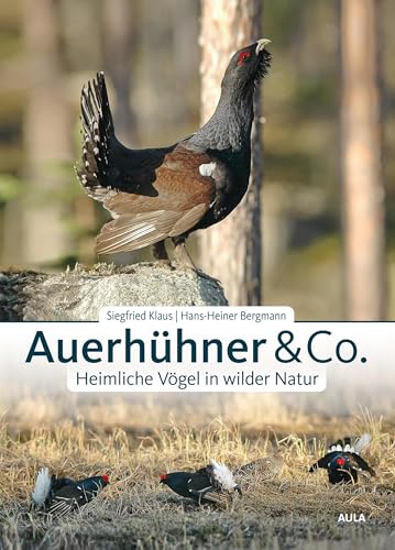 Auerhühner & Co.: Heimliche Vögel in wilder Natur von Aula-Verlag GmbH