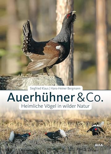 Auerhühner & Co.: Heimliche Vögel in wilder Natur