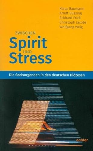 Zwischen Spirit und Stress: Die Seelsorgenden in den deutschen Diözesen von Echter Verlag GmbH