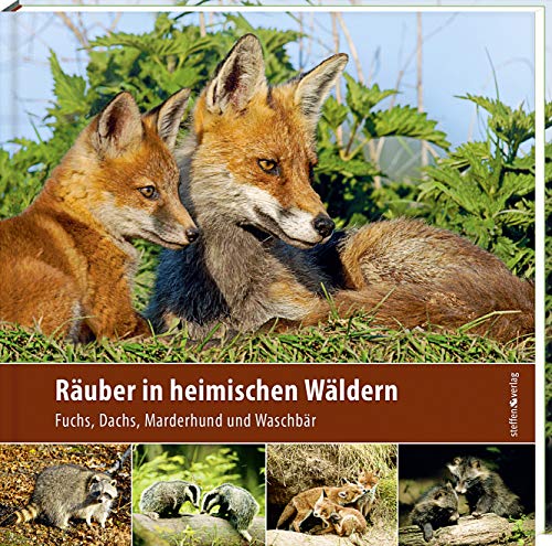 Räuber in heimischen Wäldern: Fuchs, Dachs, Marderhund und Waschbär