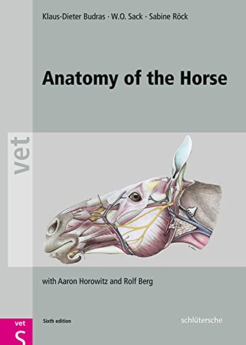 Anatomy of the Horse: with Aaron Horowitz and Rolf Berg von Schlütersche