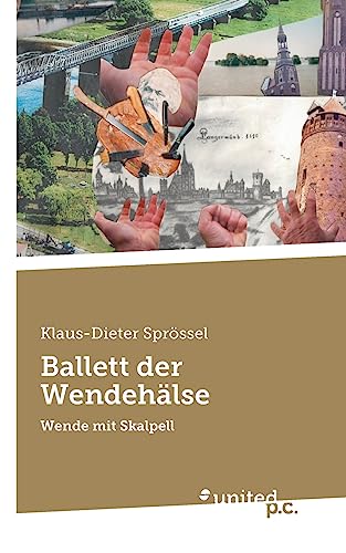 Ballett der Wendehälse: Wende mit Skalpell von united p.c. Verlag