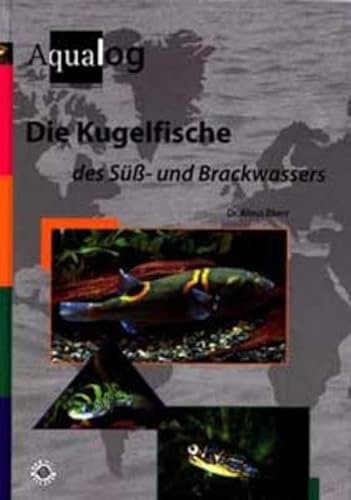 Die Kugelfische des Süß- und Brackwassers