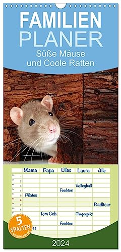Familienplaner 2024 - Süße Mäuse und Coole Ratten mit 5 Spalten (Wandkalender, 21 cm x 45 cm) CALVENDO