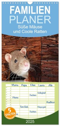 Familienplaner 2025 - Süße Mäuse und Coole Ratten mit 5 Spalten (Wandkalender, 21 cm x 45 cm), CALVENDO von CALVENDO
