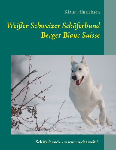 Weißer Schweizer Schäferhund: Berger Blanc Suisse: Schäferhunde - warum nicht weiß?