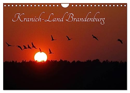 Kranich-Land Brandenburg (Wandkalender 2024 DIN A4 quer), CALVENDO Monatskalender