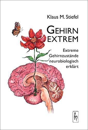 Gehirn extrem: Extreme Gehirnzustände neurobiologisch erklärt von Huebner Felicitas