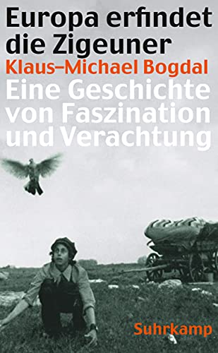 Europa erfindet die Zigeuner: Eine Geschichte von Faszination und Verachtung (suhrkamp taschenbuch)