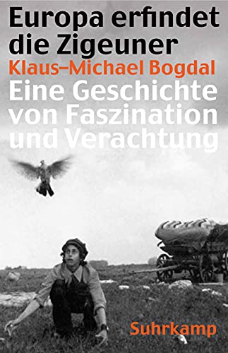 Europa erfindet die Zigeuner: Eine Geschichte von Faszination und Verachtung