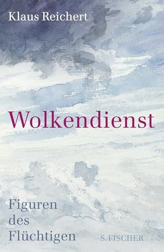 Wolkendienst: Figuren des Flüchtigen