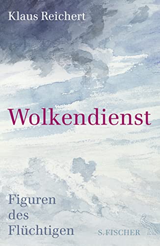 Wolkendienst: Figuren des Flüchtigen