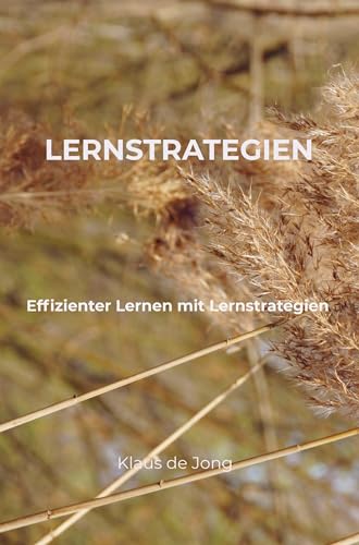 Lernstrategien: Effizienter Lernen mit Lernstrategien