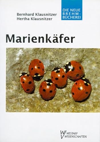 Marienkäfer: Coccinellidae