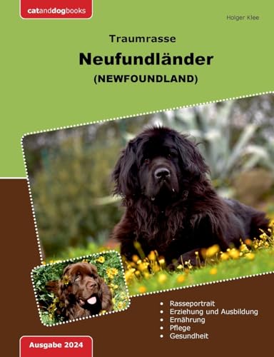 Traumrasse Neufundländer: Newfoundland