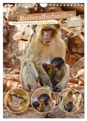 Berberaffenfamilien (Wandkalender 2025 DIN A4 hoch), CALVENDO Monatskalender von CALVENDO