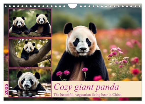 Cozy giant panda (Wall Calendar 2025 DIN A4 landscape), CALVENDO 12 Month Wall Calendar: The beautiful, vegetarian living bear in China