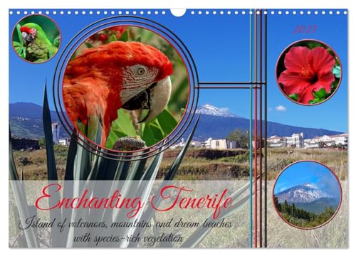Enchanting Tenerife (Wall Calendar 2025 DIN A3 landscape), CALVENDO 12 Month Wall Calendar: Island of volcanoes, mountains and dream beaches with species-rich vegetation in the Atlantic von Calvendo