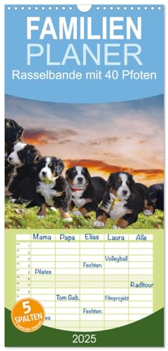 Familienplaner 2025 - Rasselbande mit 40 Pfoten mit 5 Spalten (Wandkalender, 21 cm x 45 cm), CALVENDO von CALVENDO