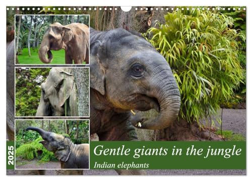Gentle giants in the jungle (Wall Calendar 2025 DIN A3 landscape), CALVENDO 12 Month Wall Calendar: Portraits of Indian elephants von Calvendo