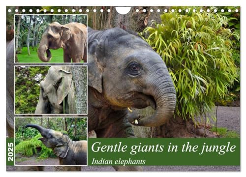 Gentle giants in the jungle (Wall Calendar 2025 DIN A4 landscape), CALVENDO 12 Month Wall Calendar: Portraits of Indian elephants von Calvendo