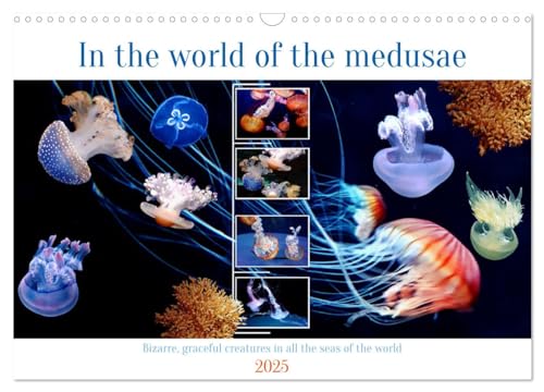 In the world of the medusae (Wall Calendar 2025 DIN A3 landscape), CALVENDO 12 Month Wall Calendar: Mysterious and interesting creatures in all the seas of the world von Calvendo