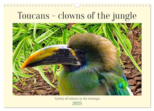 Toucans - clowns of the jungle (Wall Calendar 2025 DIN A3 landscape), CALVENDO 12 Month Wall Calendar: Variety of colours in the treetops von Calvendo
