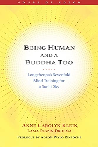 Being Human and a Buddha Too: Longchenpa's Seven Trainings for a Sunlit Sky (House of Adzom) von Wisdom Publications