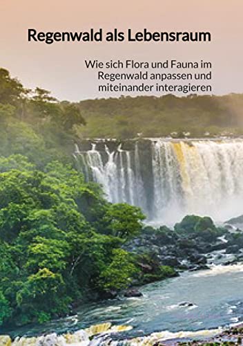 Regenwald als Lebensraum: Wie sich Flora und Fauna im Regenwald anpassen und miteinander interagieren