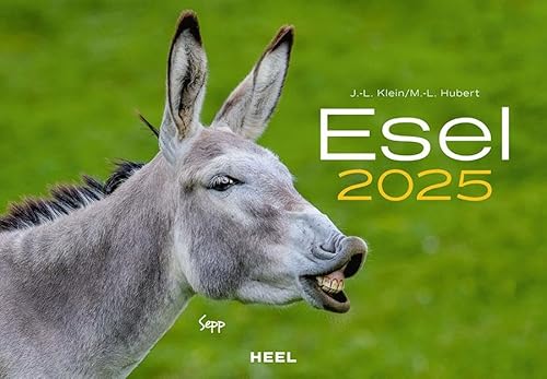 Esel Kalender 2025: Der Tierkalender mit den charmanten Namen Wandkalender