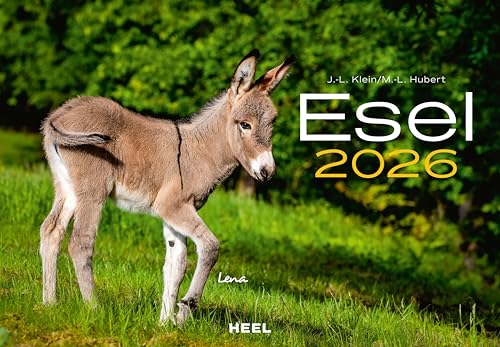 Esel Kalender 2026: Der Tierkalender mit den charmanten Namen Wandkalender von Heel