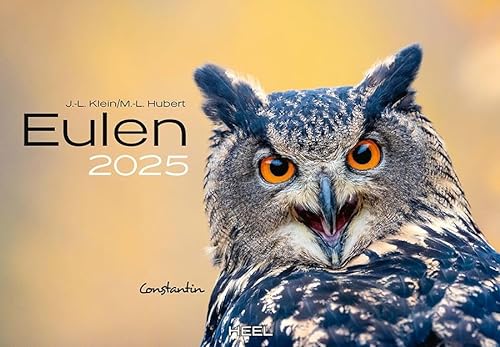 Eulen Kalender 2025: Der Tierkalender mit den charmanten Namen von Heel