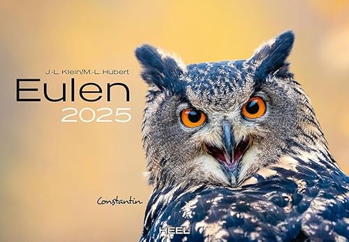 Eulen Kalender 2025: Der Tierkalender mit den charmanten Namen. Wandkalender Vogelkalender