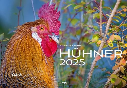 Hühner Kalender 2025: Der Tierkalender mit den charmanten Namen von Heel