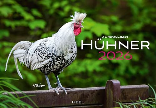 Hühner Kalender 2026: Der Tierkalender mit den charmanten Namen von Heel