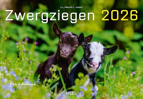 Kalender Zwergziegen 2026: 12 süße Zwergziegen mit charmanten Namen von Heel