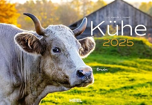 Kühe Kalender 2025 Wandkalender: Der Tierkalender mit den charmanten Namen