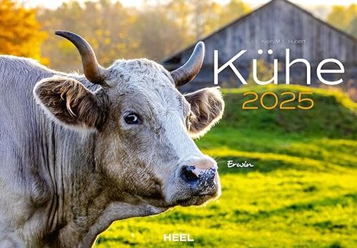 Kühe Kalender 2025: Der Tierkalender mit den charmanten Namen von Heel