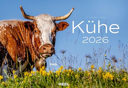 Kühe Kalender 2026 Wandkalender: Der Tierkalender mit den charmanten Namen von Heel
