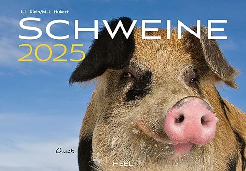 Schweine Kalender 2025: Der Tierkalender mit den charmanten Namen