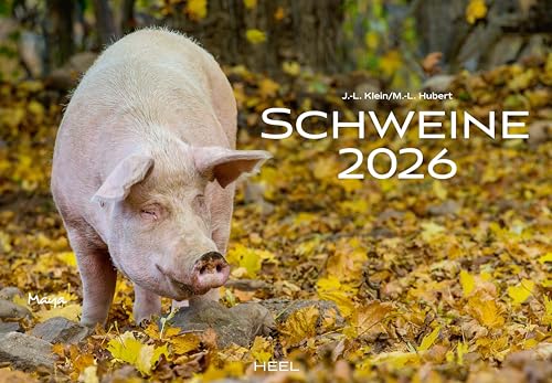 Schweine Kalender 2026: Der Tierkalender mit den charmanten Namen von Heel