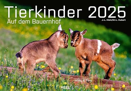 Tierkinder auf dem Bauernhof Kalender 2025: Der Tierkalender mit den charmanten Namen. Wandkalender Tierbabys Tierkinder auf dem Bauernhof Kalender 2025: Der Tierkalender mit den charmanten Namen. Wandkalender Tierbabys