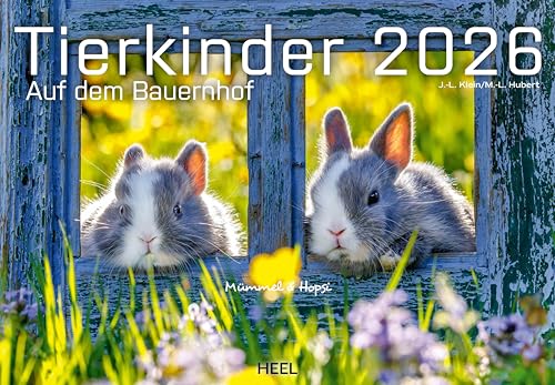 Tierkinder auf dem Bauernhof Kalender 2026: Der Tierkalender mit den charmanten Namen. Wandkalender Tierbabys von Heel