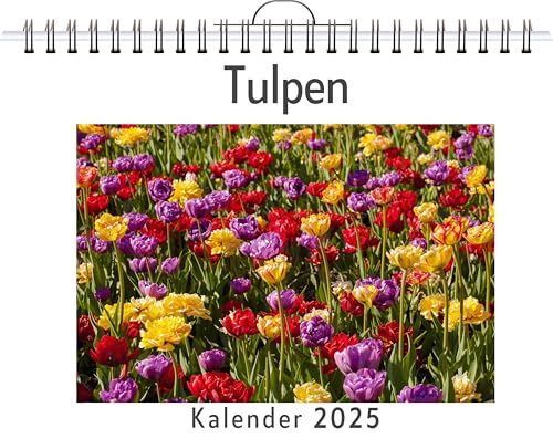 Tulpen - (Wandkalender 2025, Kalender DIN A4 quer, Monatskalender im Querformat mit Kalendarium, das perfekte Geschenk) von FlipFlop