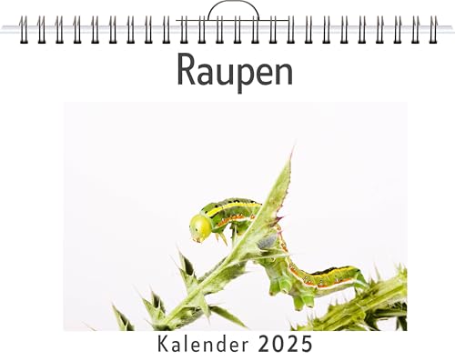 Raupen - (Wandkalender 2025, Kalender DIN A4 quer, Monatskalender im Querformat mit Kalendarium, das perfekte Geschenk) von FlipFlop