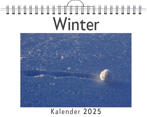 Winter - (Wandkalender 2025, Kalender DIN A4 quer, Monatskalender im Querformat mit Kalendarium, das perfekte Geschenk) von FlipFlop
