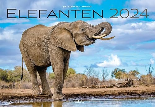 Elefanten Kalender 2024: Einfühlsame Fotografien der sanften Riesen Afrikas von Heel