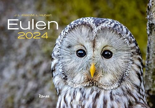 Eulen Kalender 2024: Der Tierkalender mit den charmanten Namen von Heel